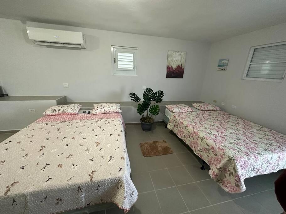 Oceanview 2 Daire Guayama Dış mekan fotoğraf